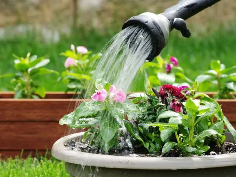 Cum sa faci un compost bun pentru gradina ta (VIDEO)