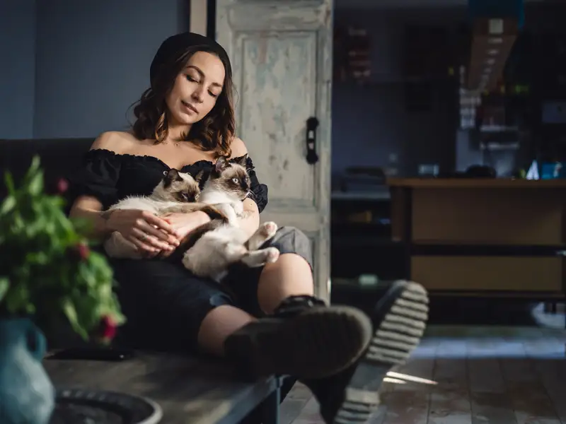 Organizarea unui spațiu funcțional pentru relaxare: Crearea unei zone dedicate relaxării