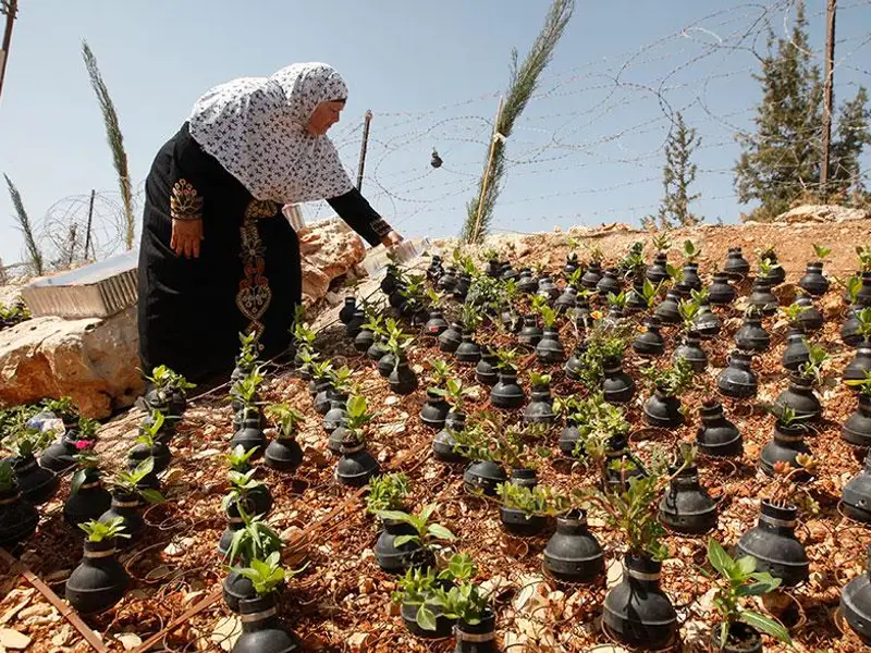 UIMITOR! O femeie palestiniana planteaza flori in grenadele aruncate de armata Israelului!