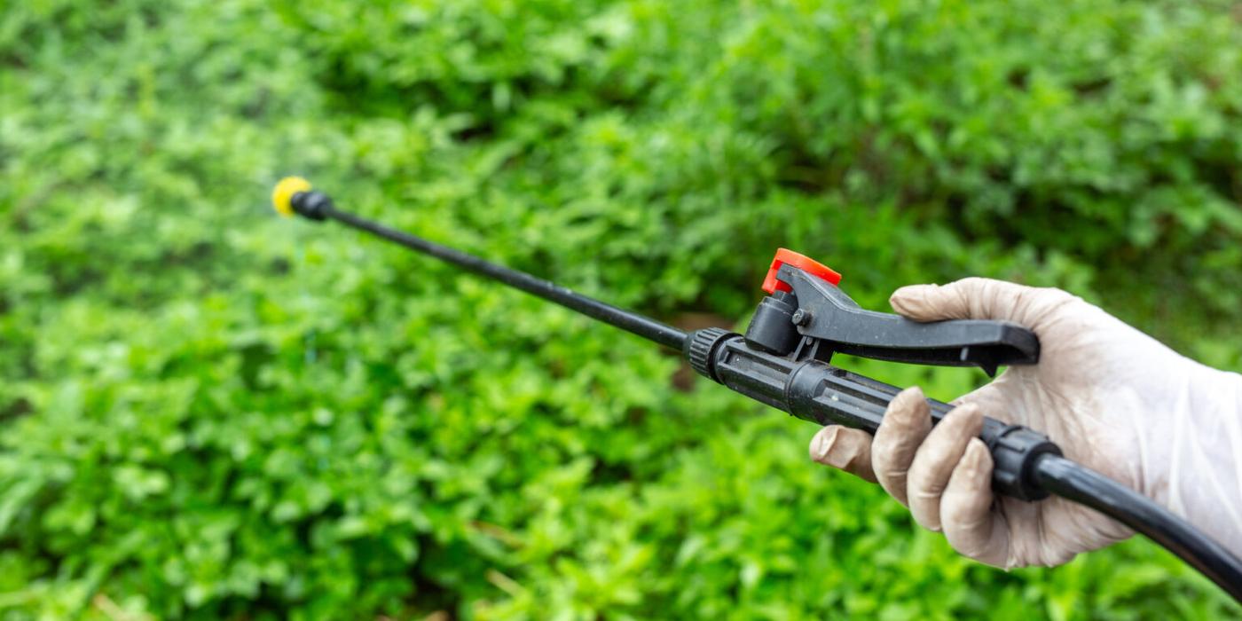 Ce disecticide trebuie sa cumperi pentru a scapa de insectele daunatoare si buruienienile nedorite