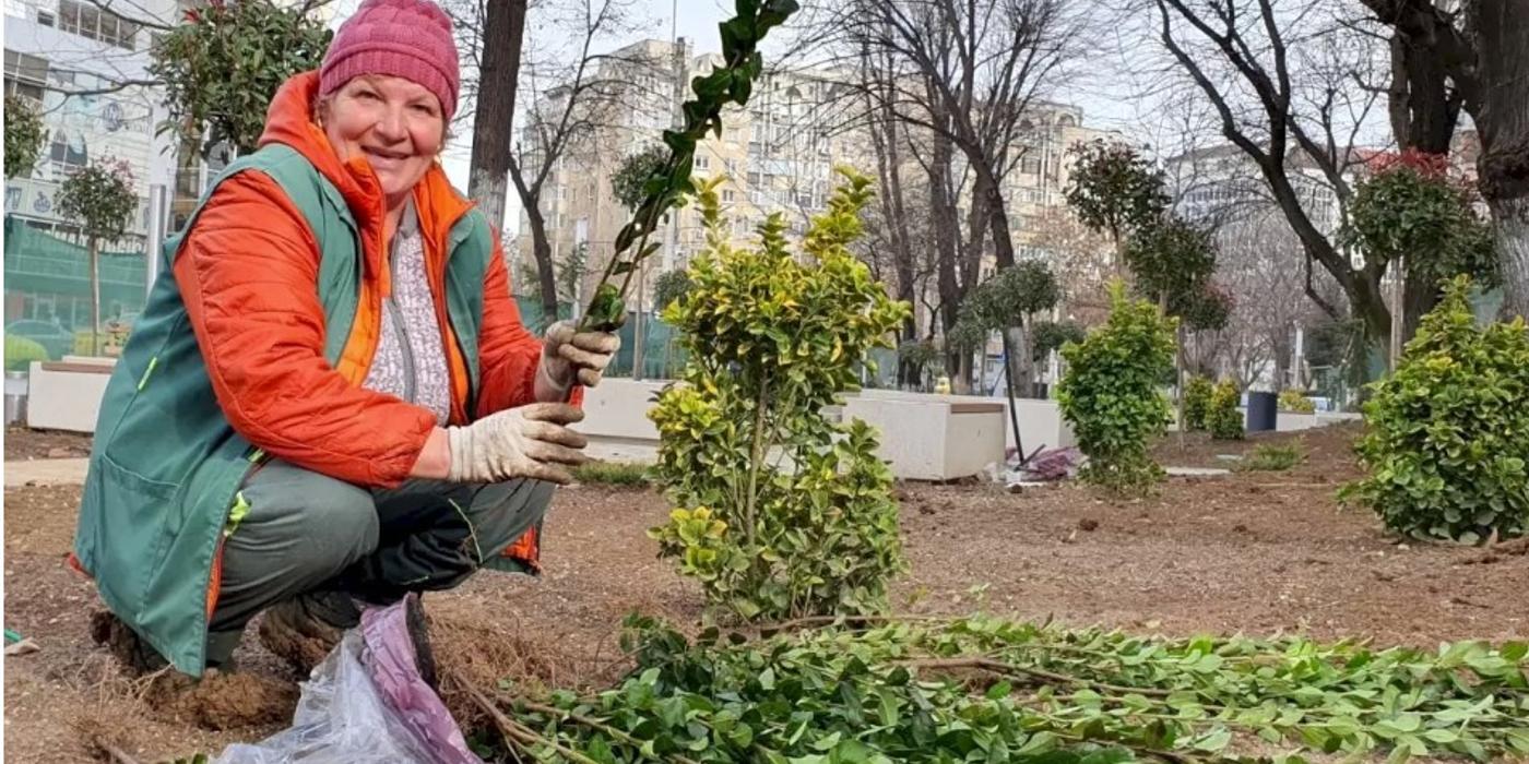 Aspectul zonei Melinești din București după plantarea a sute de copaci s-a schimbat