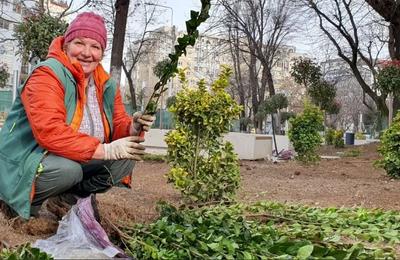 Aspectul zonei Melinești din București după plantarea a sute de copaci s-a schimbat