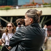 Pisicuțe și cățeluși caută familii la Muzeul MINA din București!