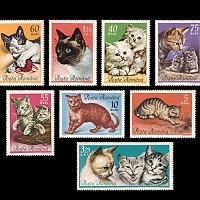 Când Poșta Română anticipa internetul – 1965
