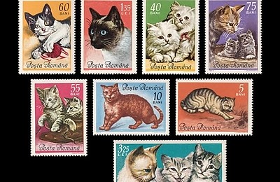 Când Poșta Română anticipa internetul – 1965