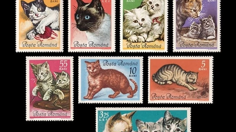 Când Poșta Română anticipa internetul – 1965
