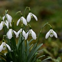 Prognoza meteo, 26 februarie. Apar primele semne ale primăverii în România
