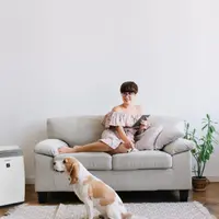 Purificatoarele de aer o necesitate sau un moft?