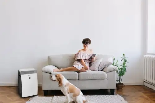 Purificatoarele de aer o necesitate sau un moft?