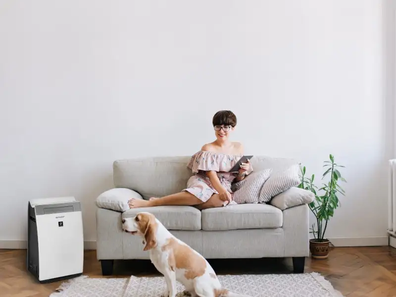 Purificatoarele de aer o necesitate sau un moft?