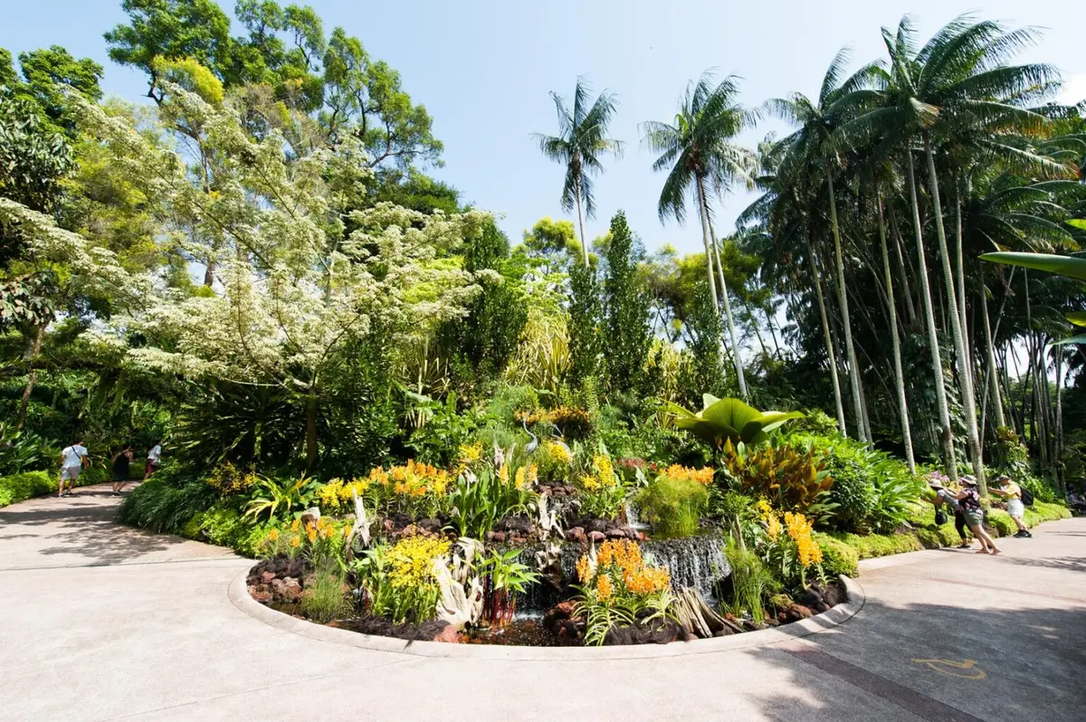 Grădinile Botanice din Singapore: O oază tropicală de verdeață