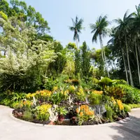 Grădinile Botanice din Singapore: O oază tropicală de verdeață