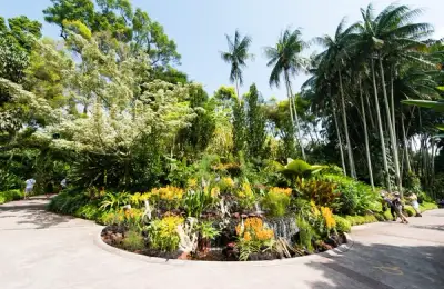 Singapore Botanic Gardens: A Tropical Oasis of Greenery