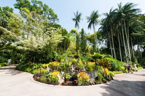 Grădinile Botanice din Singapore: O oază tropicală de verdeață