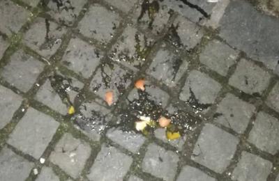 Participanții Festivalului Culturii Arabe, loviți cu ouă crude aruncate de la o terasă