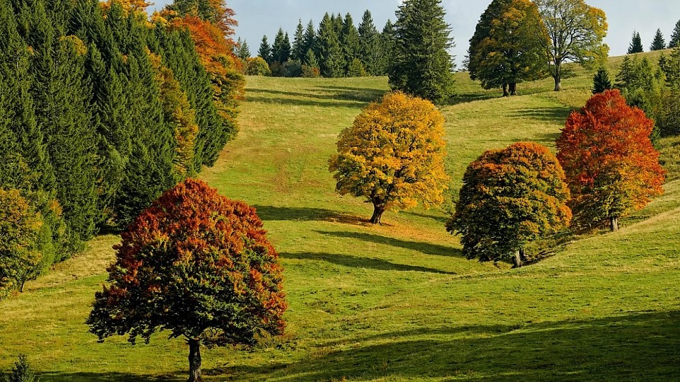 Prognoza meteo, 1 noiembrie. Început de weekend cu vreme de grătare. Temperaturile vor fi neobișnuit de ridicate în țară