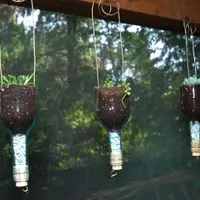 DIY: Cum sa faci cel mai creativ ghiveci?