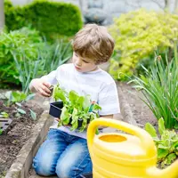 Cum implicăm copiii în agricultură: o lecție practică de viață