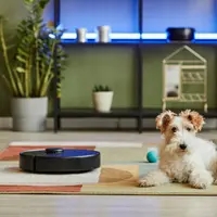 Soluții rapide pentru curățarea casei când ai animale de companie