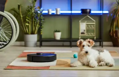 Fast Cleaning Solutions for Homes with Pets