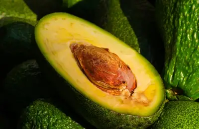 Foods That Extend Life: The Longevity-Friendly Diet