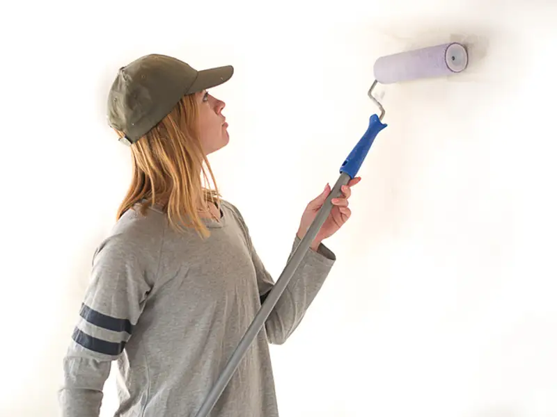 Ce amorse sunt potrivite pentru vopsele lavabile mate sau lucioase?