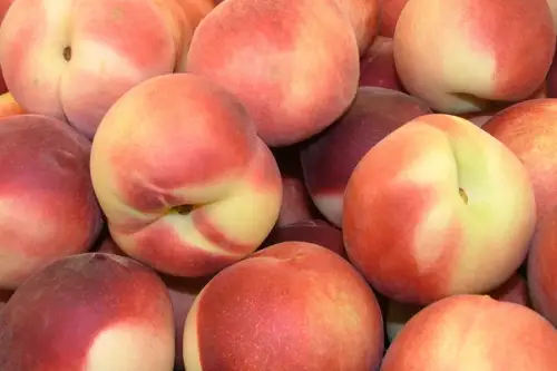 Cum se planteaza un piersic? (VIDEO)