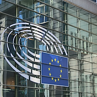 Parlamentul European a ridicat imunitatea pentru patru eurodeputați conservatori, de la PiS, AfD și ANO din cauza unor postări pe X și la cererea procurorilor din țările de origine