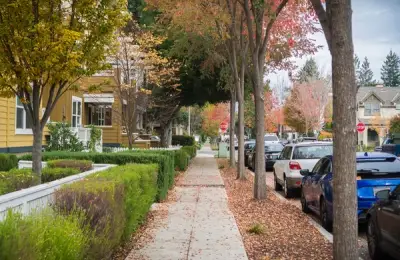 The Most Annoying Noises Neighbors Can Make and How to Get Rid of Them