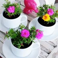 Proiect DIY: suport pentru flori din cesti