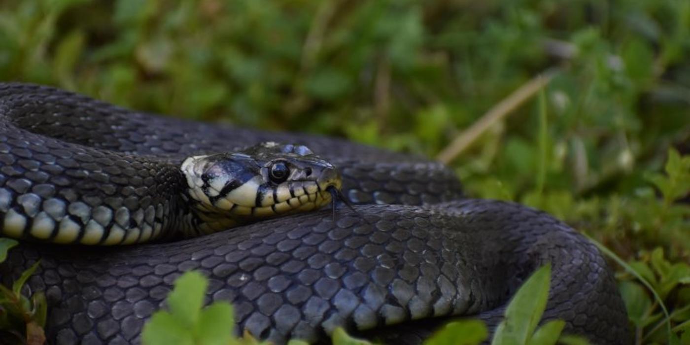 Experiență ciudată și înfricoșătoare joi după-amiază pentru un șofer din Gherla