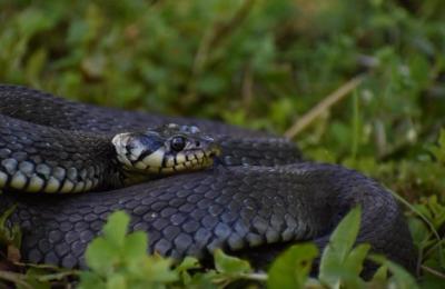 Experiență ciudată și înfricoșătoare joi după-amiază pentru un șofer din Gherla