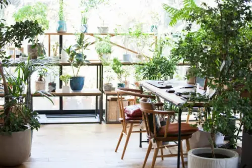 Idei inedite de a transforma o seră în zonă de dining