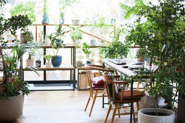 Idei inedite de a transforma o seră în zonă de dining