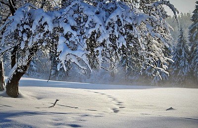 Prognoza meteo, 2 ianuarie. România, luată prin surprindere de vremea de la începutul anului