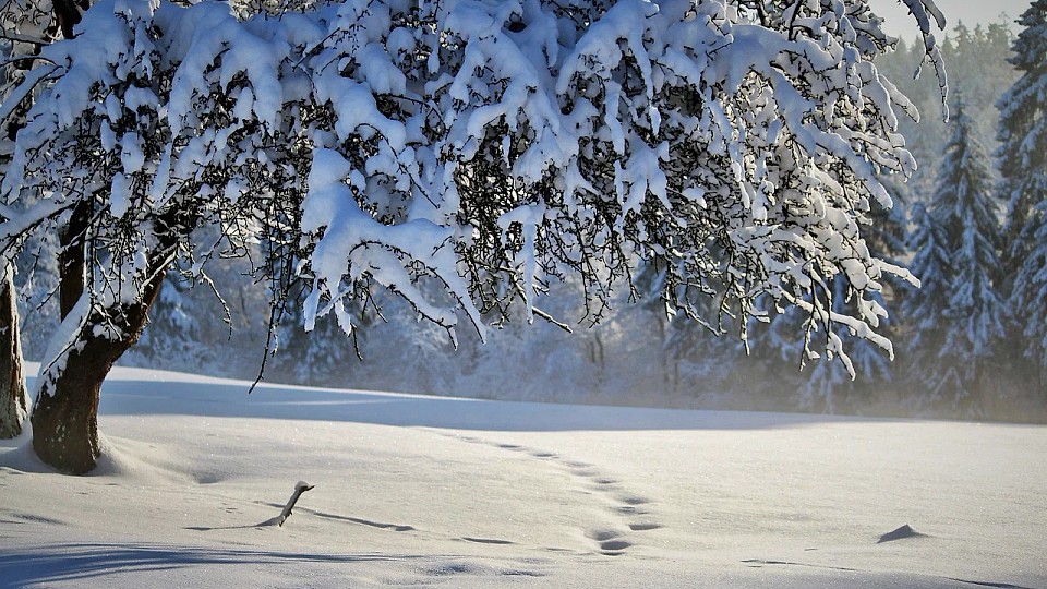 Prognoza meteo, 2 ianuarie. România, luată prin surprindere de vremea de la începutul anului