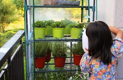 Build Your Own Balcony Greenhouse: A Step-by-Step Guide
