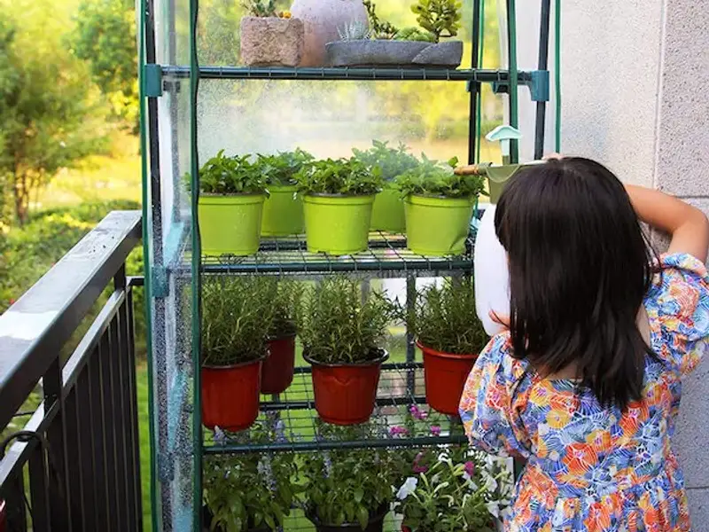 Construiește-ți propria seră pe balcon! Un ghid pas cu pas