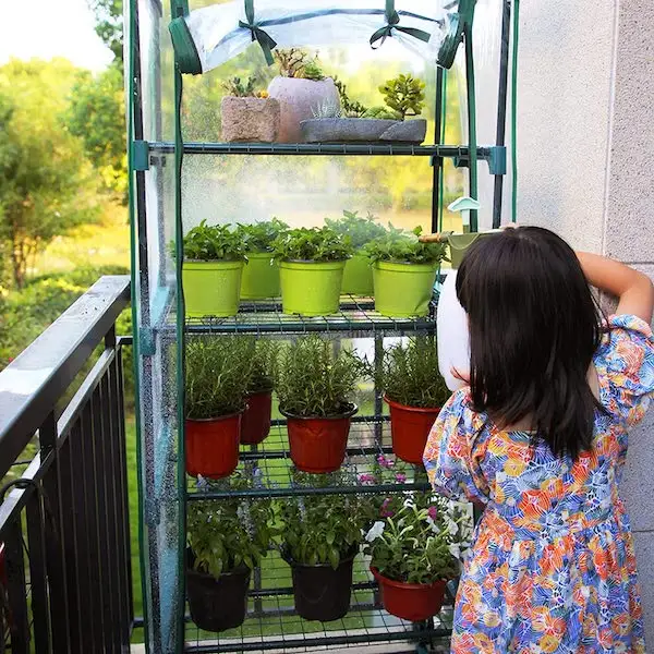 Build Your Own Balcony Greenhouse: A Step-by-Step Guide