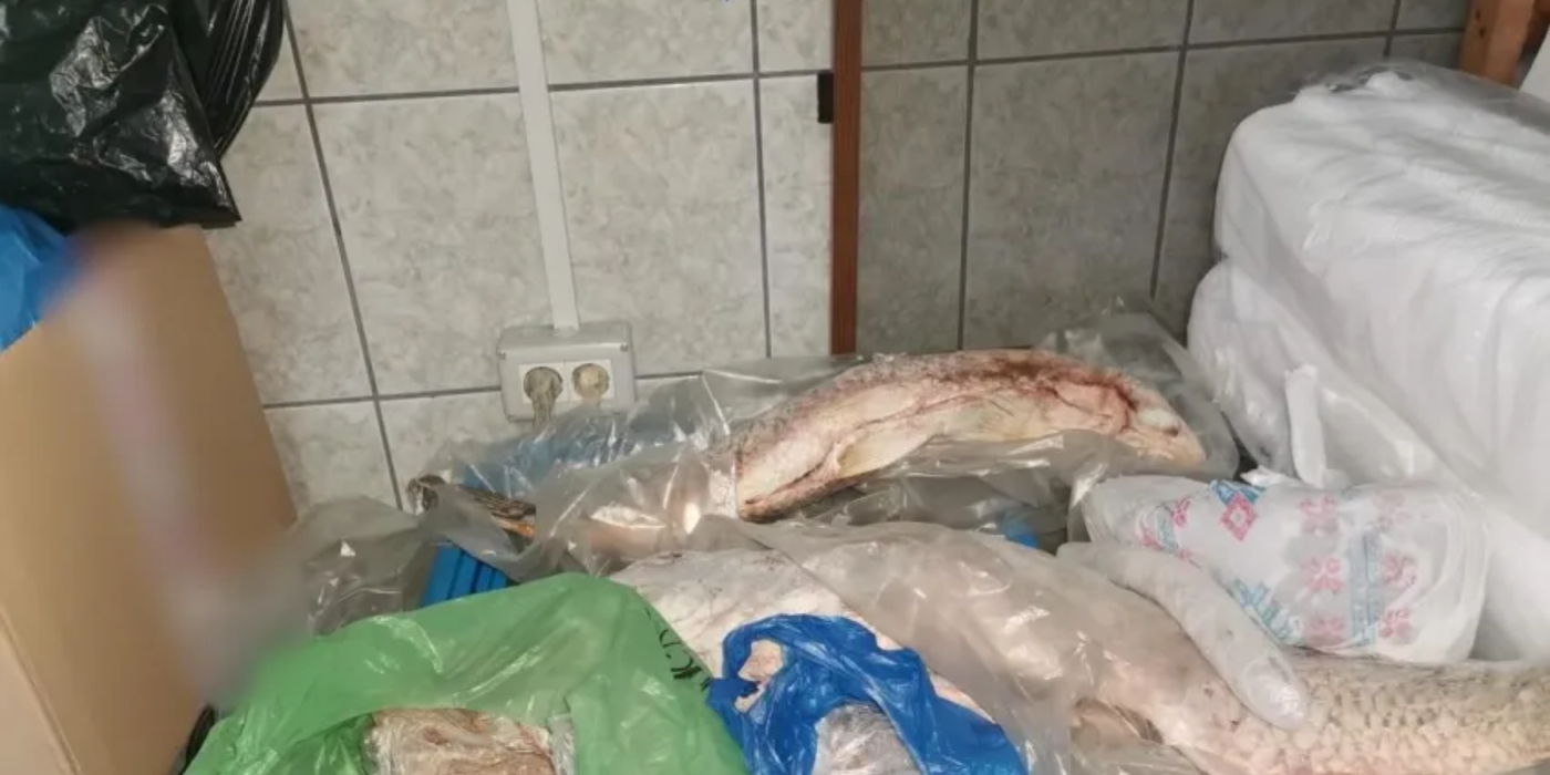 Zeci de kilograme de calcan confiscate de polițiști în Costinești