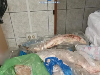 Zeci de kilograme de calcan confiscate de polițiști în Costinești