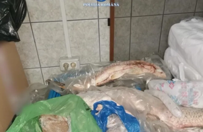 Zeci de kilograme de calcan confiscate de polițiști în Costinești