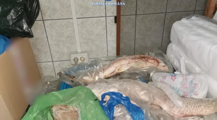Zeci de kilograme de calcan confiscate de polițiști în Costinești