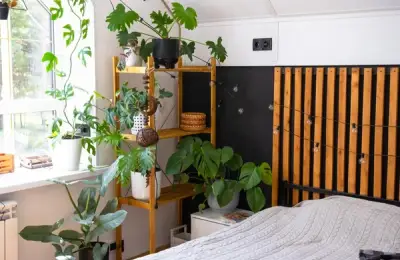 Bringing Nature Indoors: Saving Space in Your Bucharest Home