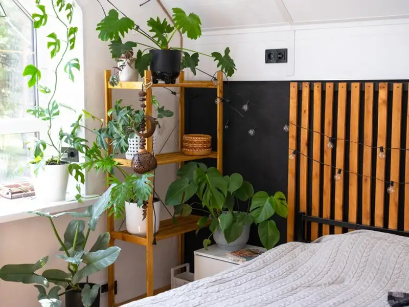 Cum să salvați spațiul din casă aducând natura în interior