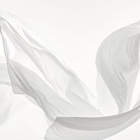 Albul impunător, Institutul Pantone a decis culoarea anului 2026