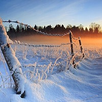 Prognoza meteo, 4 decembrie. Ninge ca în povești la final de weekend. Ceață și polei în unele județe