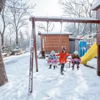 Idei de amenajare a unui loc de joacă în curte iarna