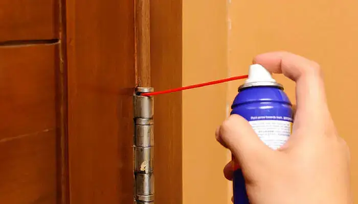 Uși silențioase: Soluții eficiente pentru scârțâituri enervante