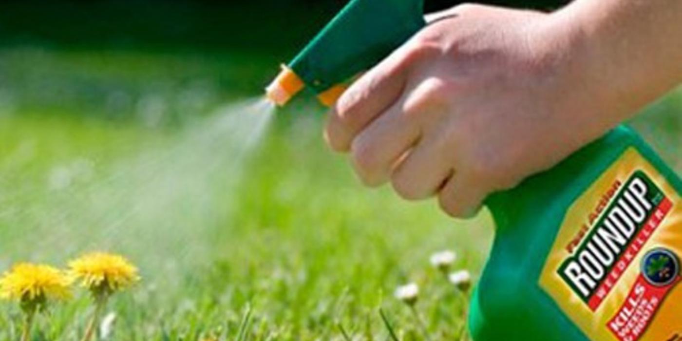 Bayer a câştigat în California un proces legat de efectul cancerigen al erbicidului Roundup, întrerupând o serie de pierderi